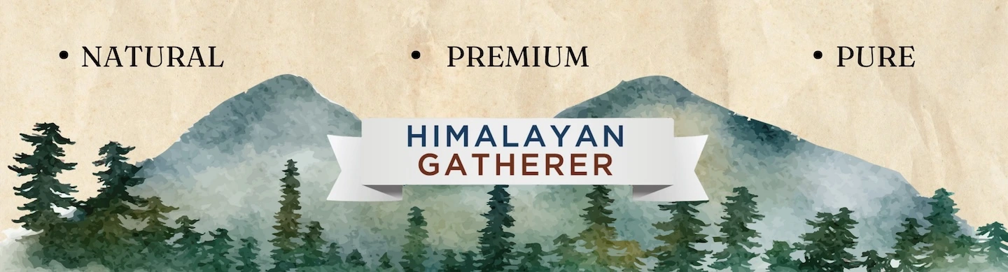 Himalayan Gatherer banner